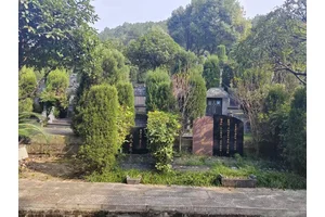 公墓销售免费接送